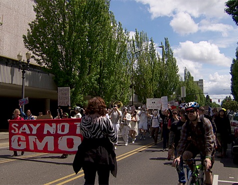 Say NO To GMO